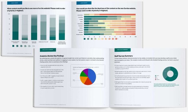 Why-Brand-Assessment-1024x608 Why-Brand-Assessment-1024x608