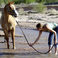 Leading Your Horse to Water: Is Innovation Enough?