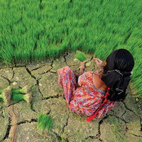 Philanthropic action on climate has been too slow — is the rise of green intermediates the answer? Philanthropic action on climate has been too slow — is the rise of green intermediates the answer?