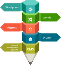 How to Choose a CMS for Your Nonprofit How to Choose a CMS for Your Nonprofit