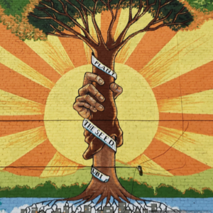 Basic Income in Cities: A Guide to City Experiments and Pilot Projects