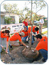 Campaign Promotes Tree Planting in Cities Campaign Promotes Tree Planting in Cities
