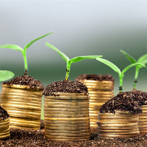 Community Foundation Business Model Disruption in the 21st Century
