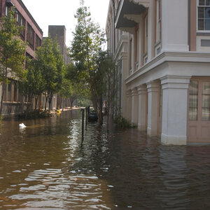 New Orleans Ten Years After the Storm: The Kaiser Family Foundation Katrina Survey Project