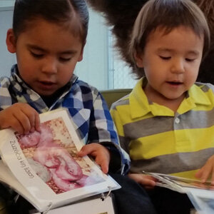 Tribal College and University Childhood Education Initiatives: Strengthening Systems of Care and Learning with Native Communities From Birth to Career