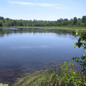 Urban Water Blueprint