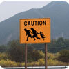 What's at Stake for the State: Undocumented Californians, Immigration Reform, and Our Future Together