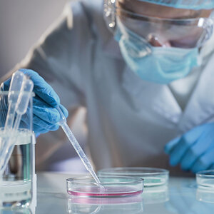 A researcher working with a petri dish.