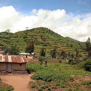 A landscape of heavily farmed hills in Africa.