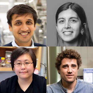 The headshots of four young scientists in a square array.