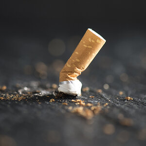 A squashed cigarette butt with bits of tobacco residue spread around it. A squashed cigarette butt with bits of tobacco residue spread around it.