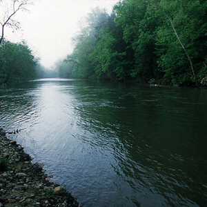 A river surrounded by dense green forest - South Fork of the Holston River.