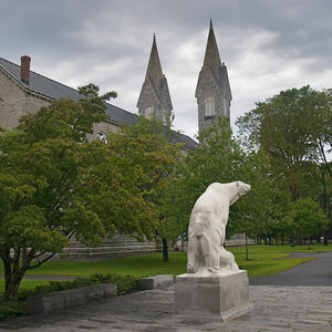 The Bowdoin College mascot. The Bowdoin College mascot.