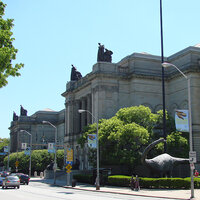 The grand Greek Revival exterior of a museum surrounded by trees—the Carnegie Museum of Natural History.
