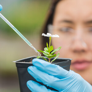 A botanist studying a flower.