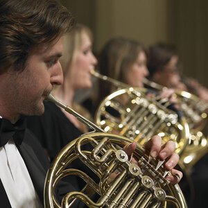 Horn players in a symphony orchestra. Horn players in a symphony orchestra.