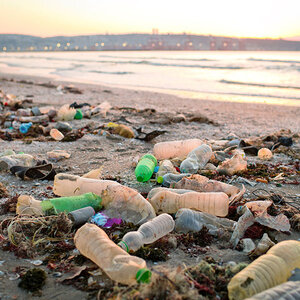 Washed-up plastic pollution on the shore. Washed-up plastic pollution on the shore.