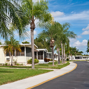 A row of mobile homes with palm trees in the front yard.