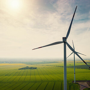 Conservation efforts are succeeding, report finds Conservation efforts are succeeding, report finds