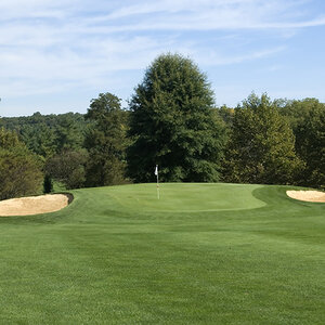 A view of a golf course hole, with a ball on the green, and forests in the background