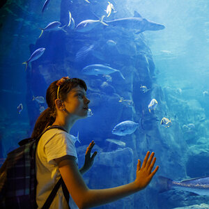 A young girl at the aquarium.