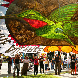 A group of artists raise a large multicolored parachute-like canvas showing the image of a dove. A group of artists raise a large multicolored parachute-like canvas showing the image of a dove.