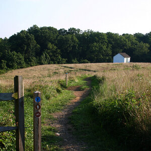 A winding dirt path leads to a farmhouse in a field surrounded by trees. A winding dirt path leads to a farmhouse in a field surrounded by trees.