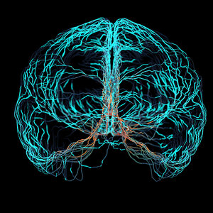 Emory University receives $10 million for cognitive impairment program