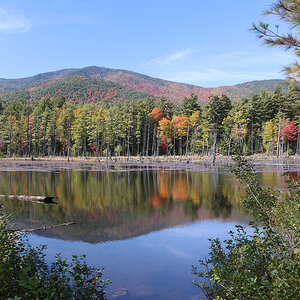 A lake surrounded by trees with the Adirondack mountains in the background. A lake surrounded by trees with the Adirondack mountains in the background.