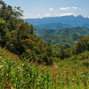 A hillside cornfield with a valley and mountains stretching to the horizon—Guatemala. A hillside cornfield with a valley and mountains stretching to the horizon—Guatemala.