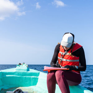 A marine biologist writing notes in a boat. A marine biologist writing notes in a boat.