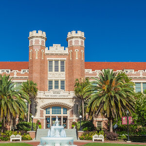 A castellated brick and stone college building surrounded by palm trees under a deep blue sky—Florida State University. A castellated brick and stone college building surrounded by palm trees under a deep blue sky—Florida State University.