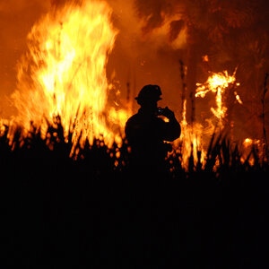 A firefighter standing in front of a wildfire. A firefighter standing in front of a wildfire.