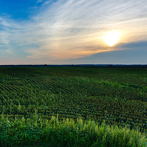 A recently planted farm field underneath a late afternoon sun.  A recently planted farm field underneath a late afternoon sun.