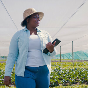 An African farmer, holding a computer tablet, inspects her crop.