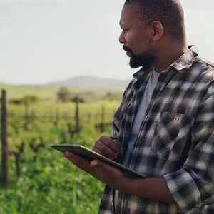 A farmer looking over his crops.