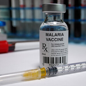 A vile containing a malaria vaccine.