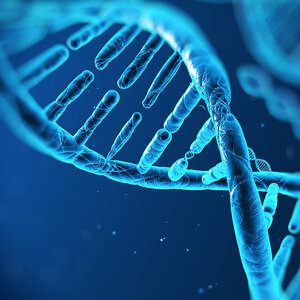 An electron microscope image of DNA. An electron microscope image of DNA.