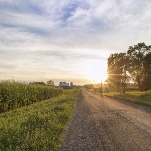 A dirt road and barn in the distance.