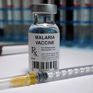 Malaria vaccine.