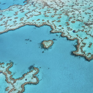 Great Barrier Reef Foundation receives $6.6 million for restoration Great Barrier Reef Foundation receives $6.6 million for restoration