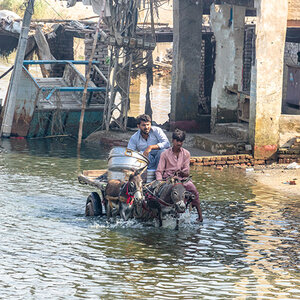Two men lead a donkey cart with their belongings through a flooded street in Pakistan Two men lead a donkey cart with their belongings through a flooded street in Pakistan
