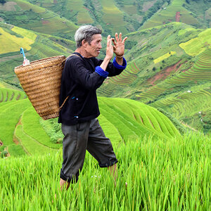 An elderly Vietnamese farmer, waving hello with both hands, stands in a rice field with terraced farmland stretching into the distance. An elderly Vietnamese farmer, waving hello with both hands, stands in a rice field with terraced farmland stretching into the distance.
