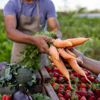 A man handing vegetables over a table full of produce. A man handing vegetables over a table full of produce.