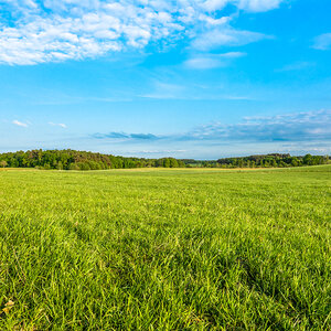 An open field. An open field.