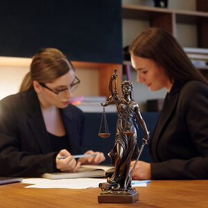 Two lawyers preparing for a case together.