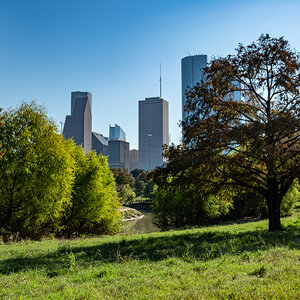 A lush greenspace with tall buildings rising in the background – Houston, Texas.