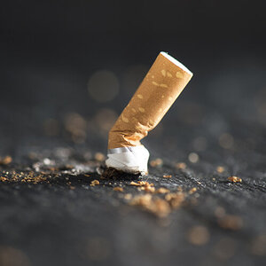 A squashed cigarette butt with bits of tobacco residue spread around it.