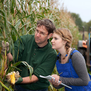 A farmer teaches a student how to inspect a stalk of corn. A farmer teaches a student how to inspect a stalk of corn.