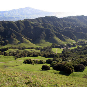 A verdant landscape of open fields, forests, and mountains.